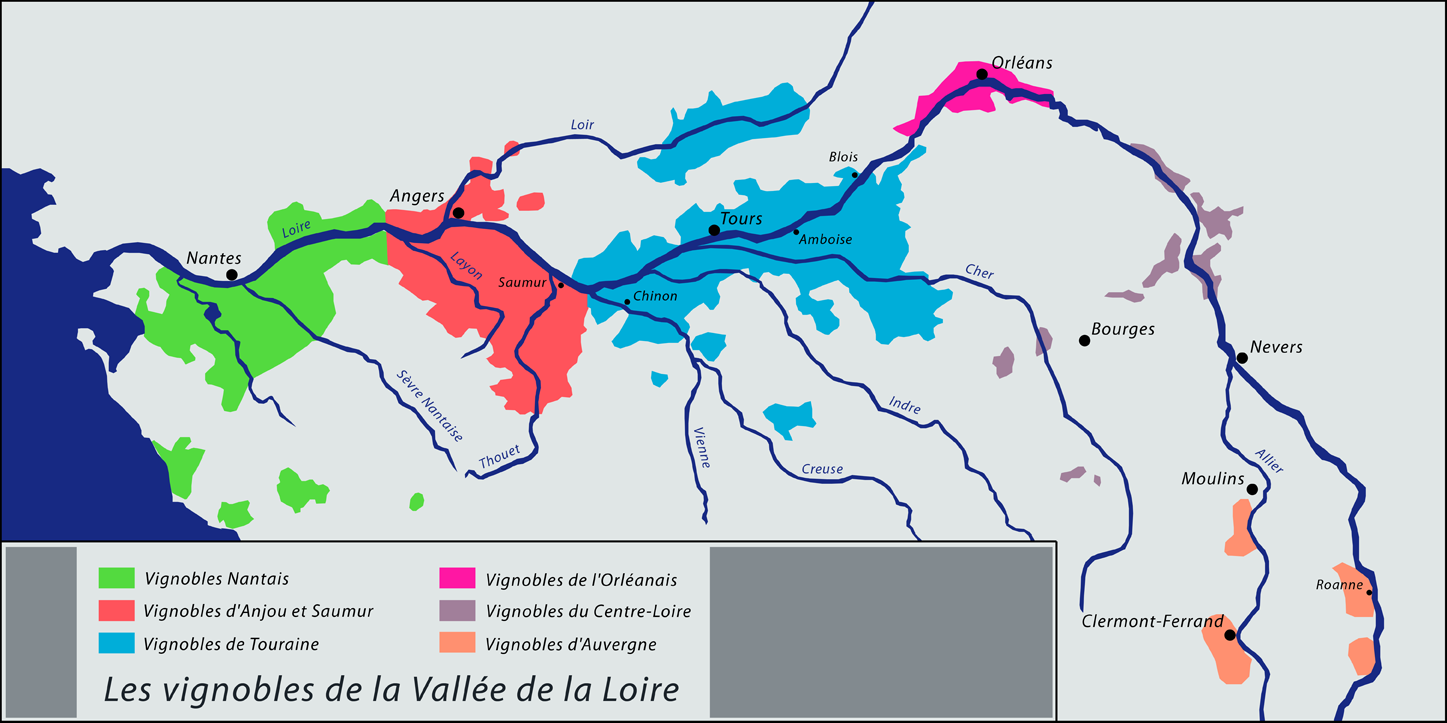 Les vignobles de la Valée de la Loire